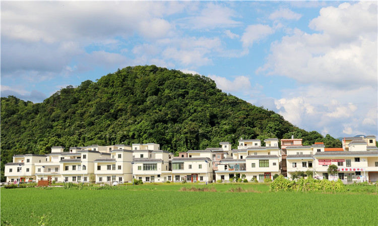 沙園村全村面貌煥然一新。（清遠(yuǎn)日?qǐng)?bào)特約通訊員張麗思 攝）.jpg