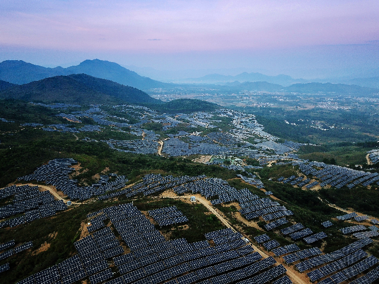 陽(yáng)山太平50MW農(nóng)業(yè)光伏電站。通訊員供圖.jpg