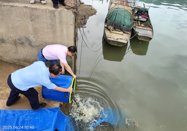 陳志兵文偉雄倒魚苗.jpg