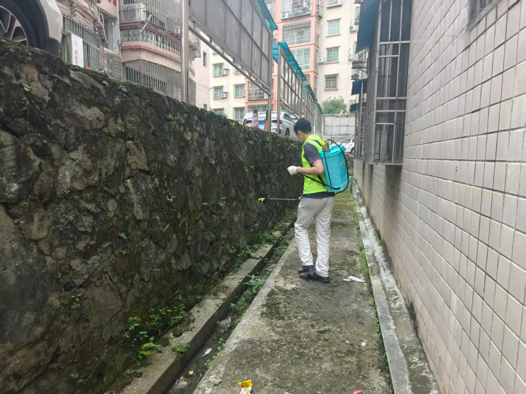 已編輯圖片