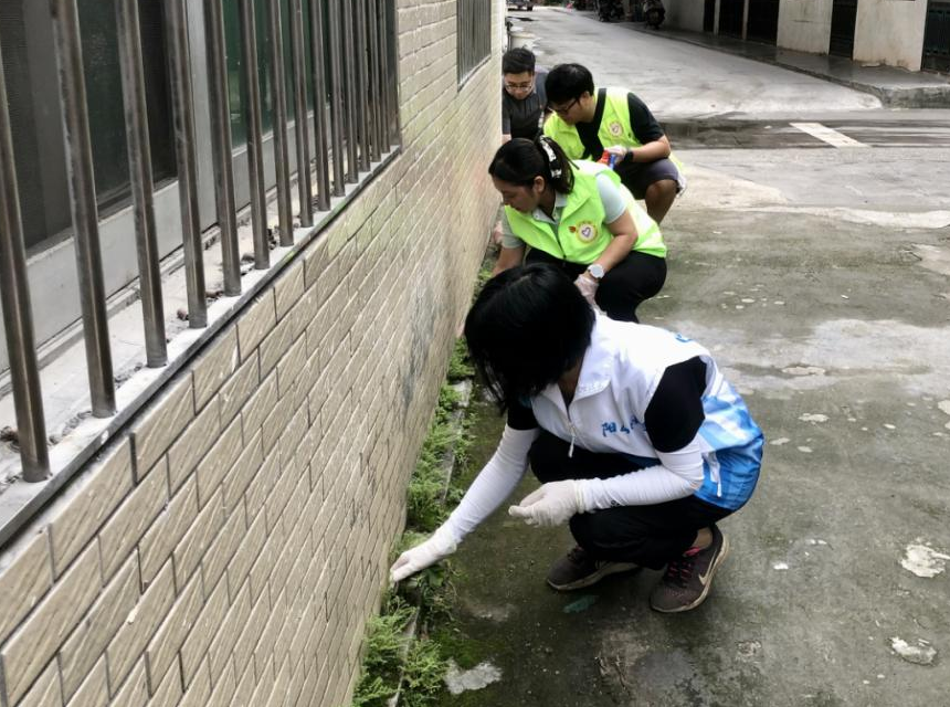 黨員清理社區(qū)周邊雜草.png